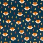 Preview: Softshell - Fiete - Füchse - petrol