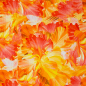 Preview: Struktur Jersey - Valencia - Blumen - gelb - orange -rot