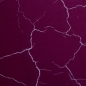 Preview: Sakura  *NANO Softshell* , reflektierend - Beere - Muster