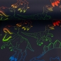 Preview: Regenjackenstoff - Dinosaurier - bunt