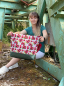 Preview: Canvas - Matteo - Himbeeren - Leinenoptik - Taschen - Kissen - Baumwolle