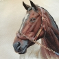 Preview: Gobelin - Pillow - Pferd - 47 x 47 cm