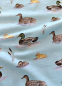 Preview: Jersey - Pond Life - by Christiane Zielinski -  Enten