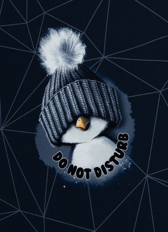 Panel - Sweat - on the rocks - Pinguin - Thorsten Berger