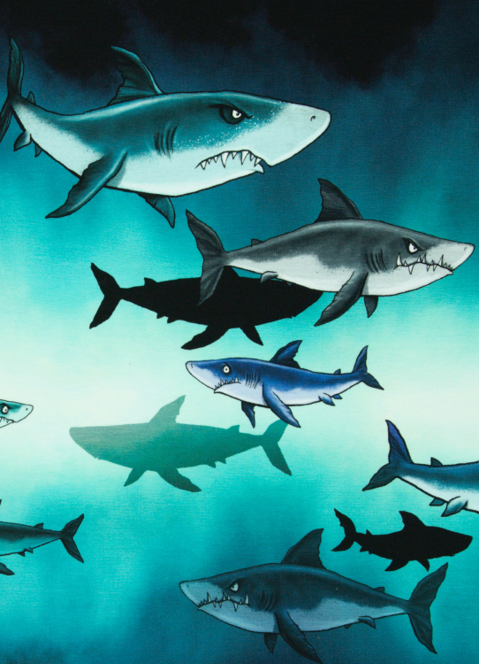 Panel - Sommersweat - shark tank - Thorsten Berger