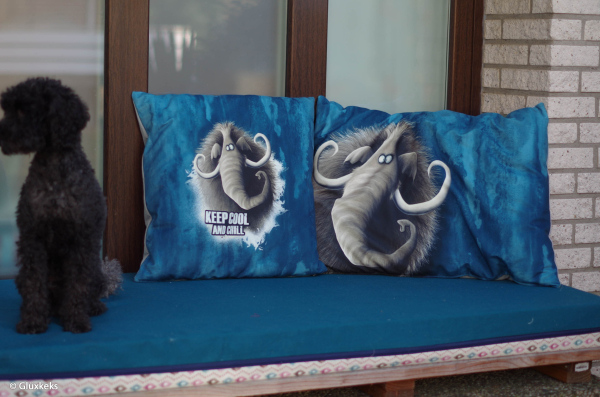 Preview: Kissen - Panel - on the rocks - Mammut - Thorsten Berger - Pillows