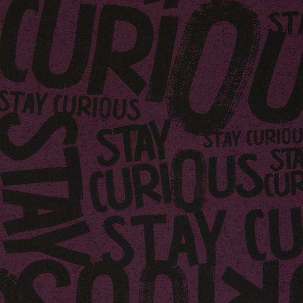 Sommersweat -  Stay curiuos - Thorsten Berger - Allover