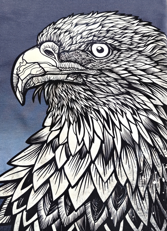 Panel Sommersweat -  Sunset Eagle - Thorsten Berger