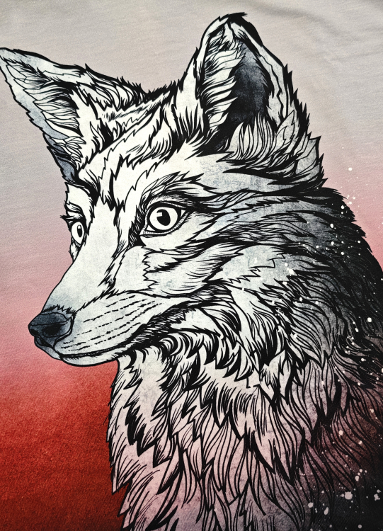 Panel Sommersweat -  Sunset Fox - Thorsten Berger