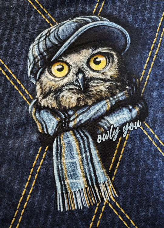 Panel Sommersweat -  Owly You - Thorsten Berger - blau - gelb