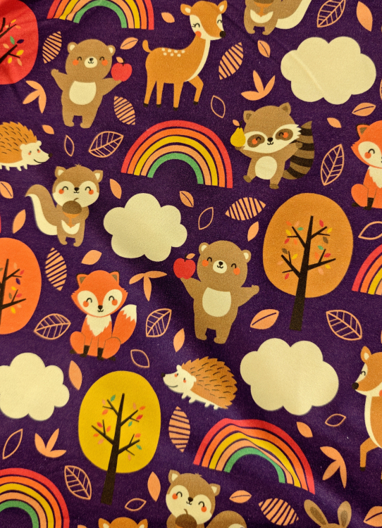 Sommersweat - Tomke - Waldtiere - Regenbogen - aubergine