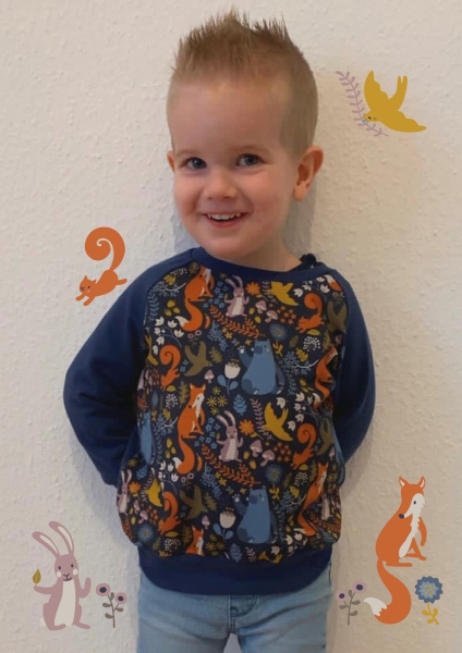 Preview: Sommersweat - French Terry - Dwellers - by Käselotti - bunt