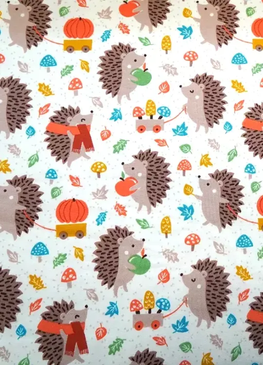 Bio Jersey - Igel Pucky  - Herbststoff - Kinderstoff