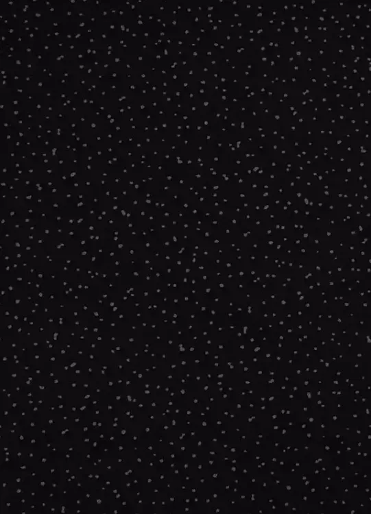 Bio Jersey - Spotties - schwarz