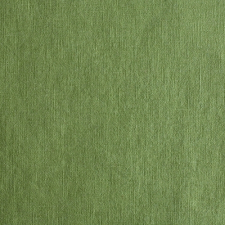 Reines Leinen - vorgewaschen - grün