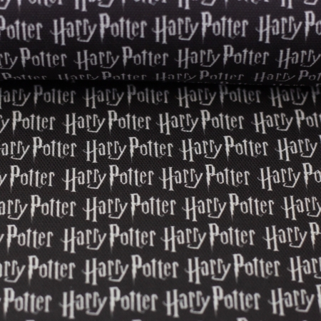 Canvas - Harry Potter - Schrift