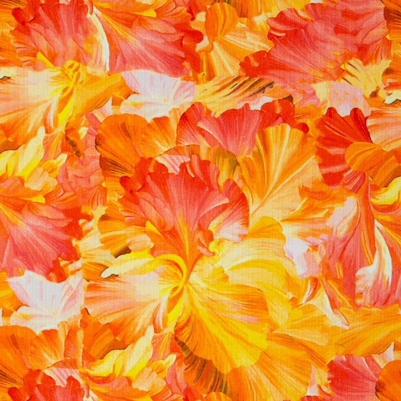 Struktur Jersey - Valencia - Blumen - gelb - orange -rot