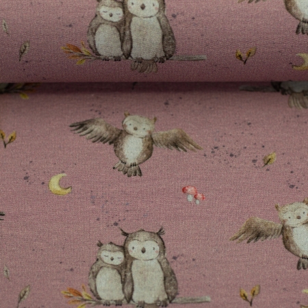 Sommersweat - Forest Friends - Christiane Zielinski - Eulen