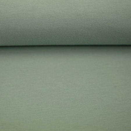 Jersey Uni - Vanessa - pistazie - 265 - neue Farbe