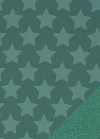 Softshell - Sterne - gefüttert - smaragd - mint