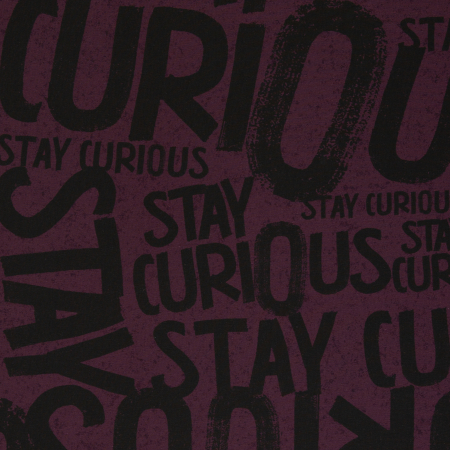 Sommersweat -  Stay curiuos - Thorsten Berger - Allover