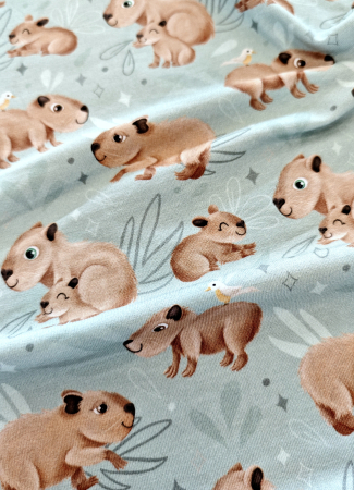 Jersey - Capybara Friends by Mrs Mint Design - mint