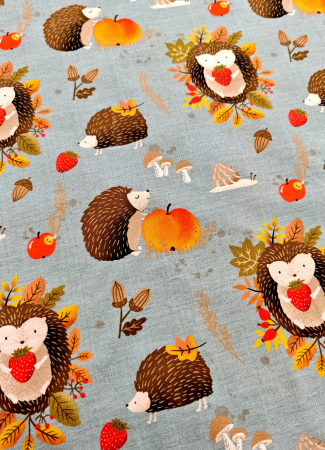 Jersey - Igel - Erdbeeren - hellblau