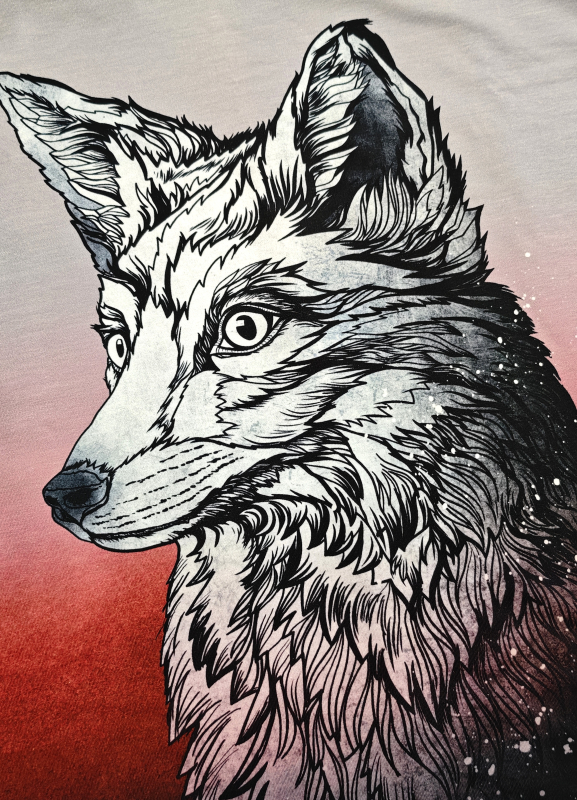Panel Sommersweat -  Sunset Fox - Thorsten Berger