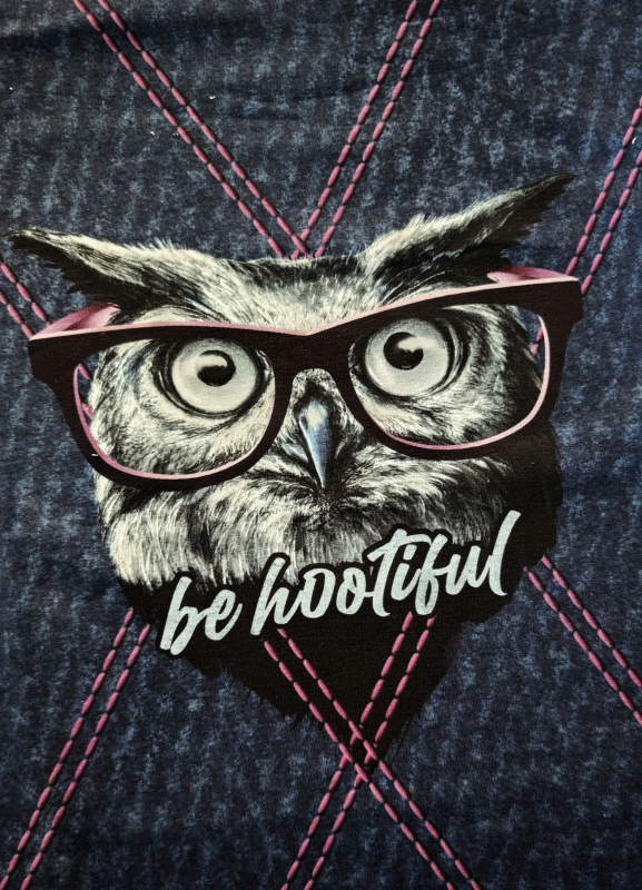 Panel Sommersweat -  Owly You - Thorsten Berger - blau - pink