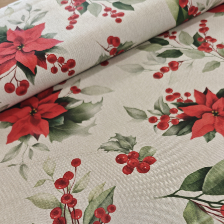 Canvas - Dekostoff - Weihnachtssterne