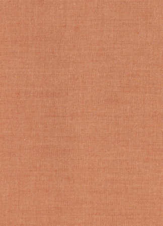 Tilda - Chambray - ginger