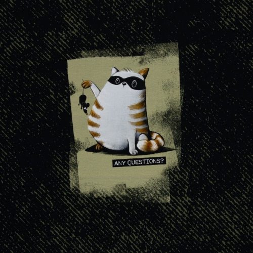 Sommersweat - Any Questions  - Thorsten Berger