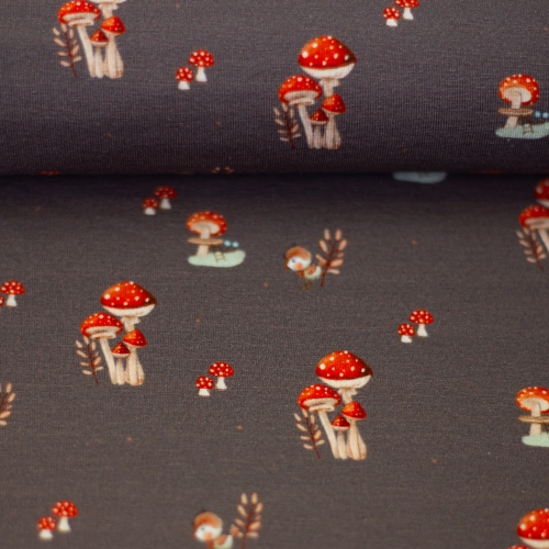 Jersey - Pilzhausen - Pilze - schlamm