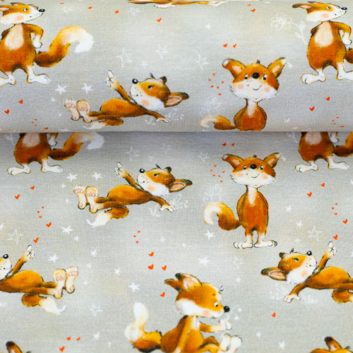 Jersey - Füchse - grau