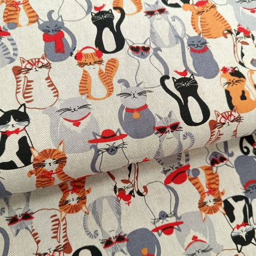 Canvas - Katzen - bunt