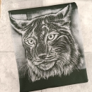 Panel Sommersweat -  Pawerful - Thorsten Berger - Luchs - grün - grau