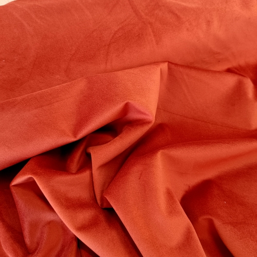 Samt - Uni - Kobe - terra